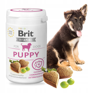 Vitamínové sety pre psy Brit hryzadlá 150 ml 150 g 1 ks.